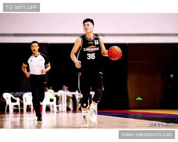 鄢手骐三分11中5贡献17分 正负值+30展现顶级3D价值 鄢手骐三分11中5贡献17分 正负值+30展现顶级3D价值